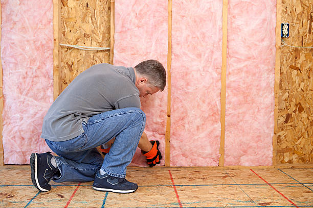 Best Blown-in Insulation in Cresson, TX