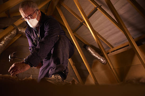 Best Cellulose Insulation in Cresson, TX