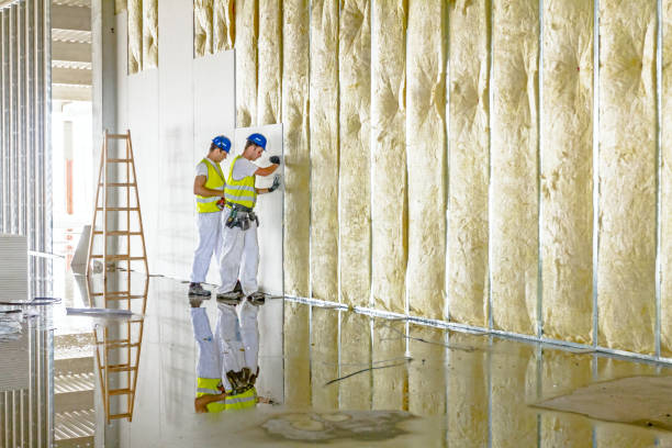 Types of Insulation We Offer in Cresson, TX